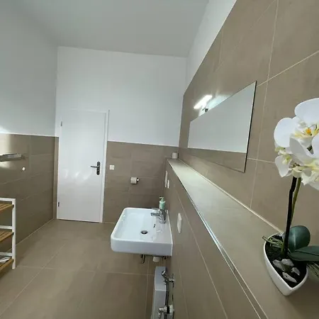 Lucky Ls10 - Vollausstattung - Zentrum - Aufzug - Grosse Kueche - 2 - Smart-tv Appartamento Magdeburgo